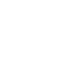 Vivaldi welcome